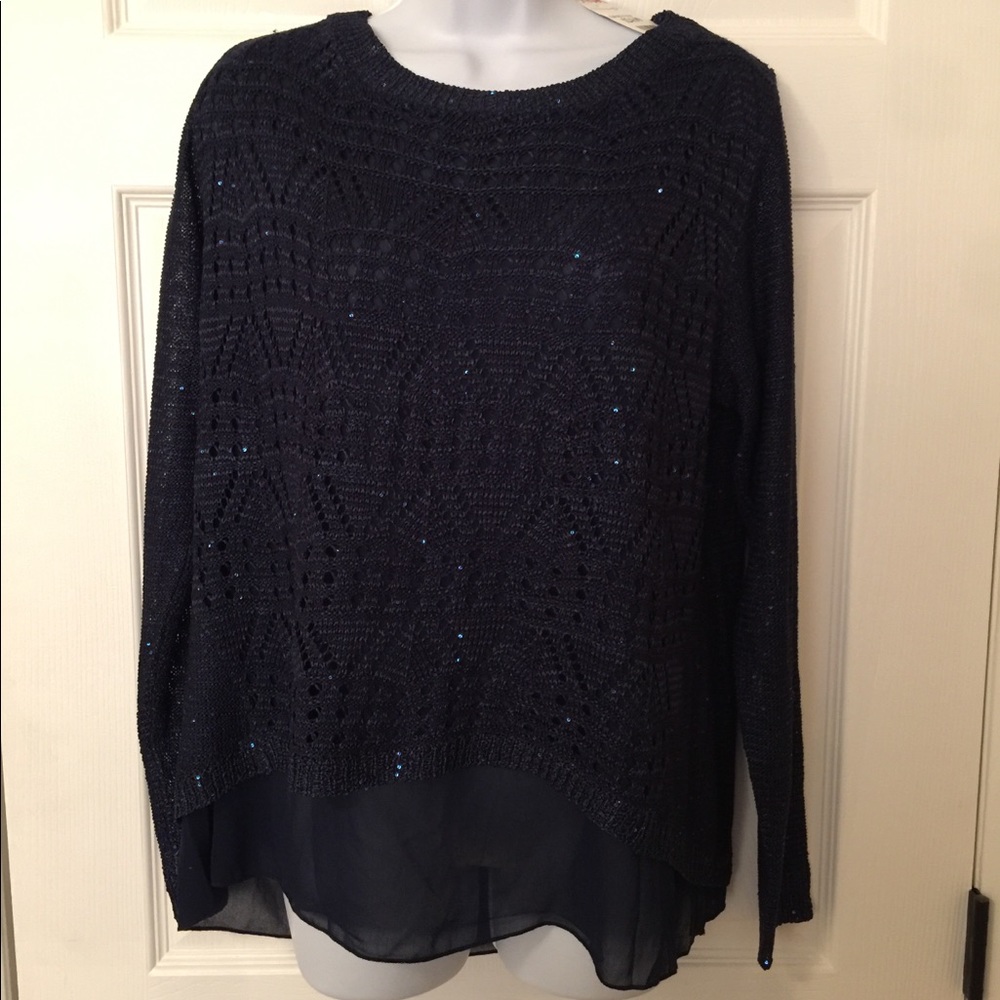 Sparkle blue sweater with Liner